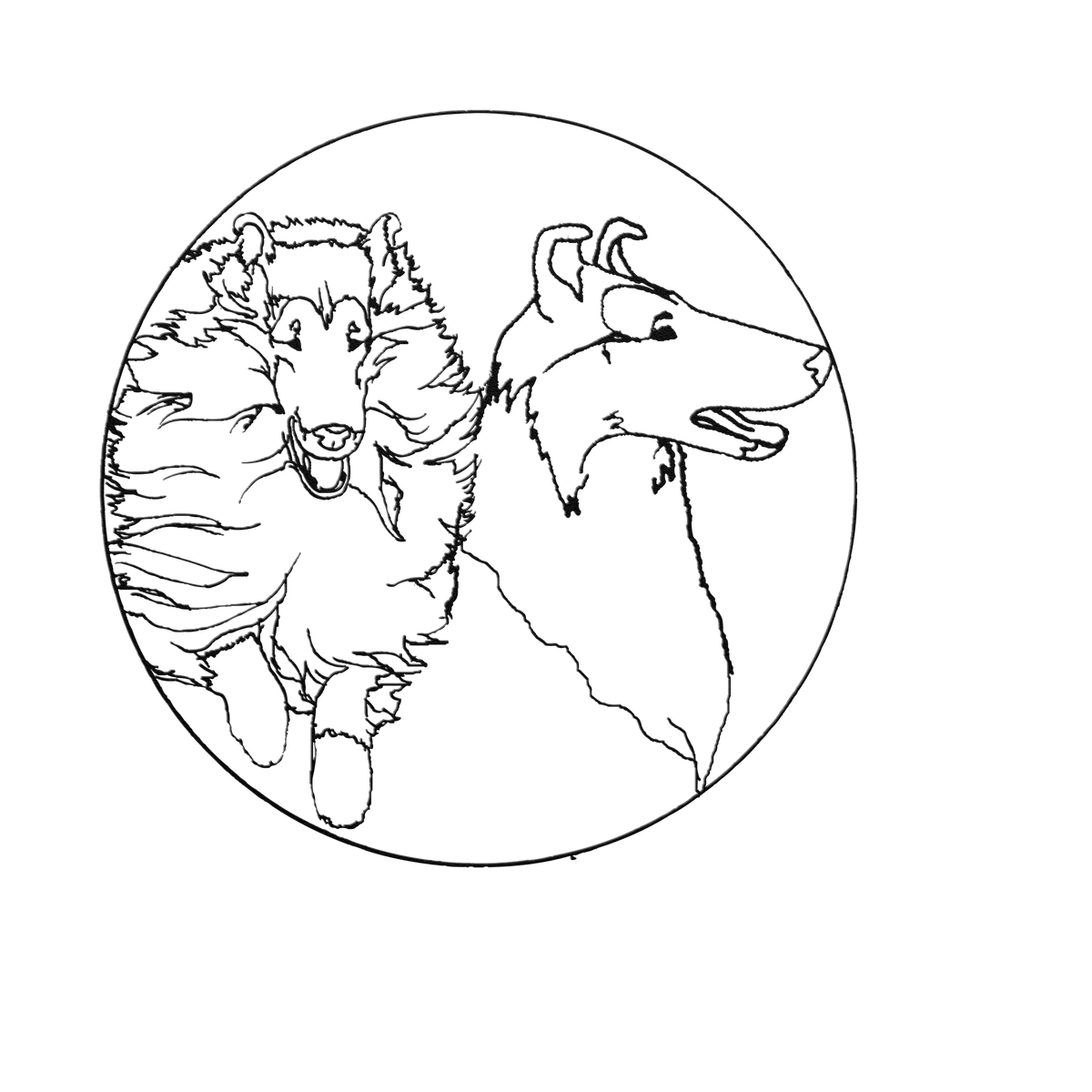 collie_versatile_2025_Black_Transparent_Mockup.png