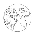 collie_versatile_2025_Black_Transparent_Mockup.png